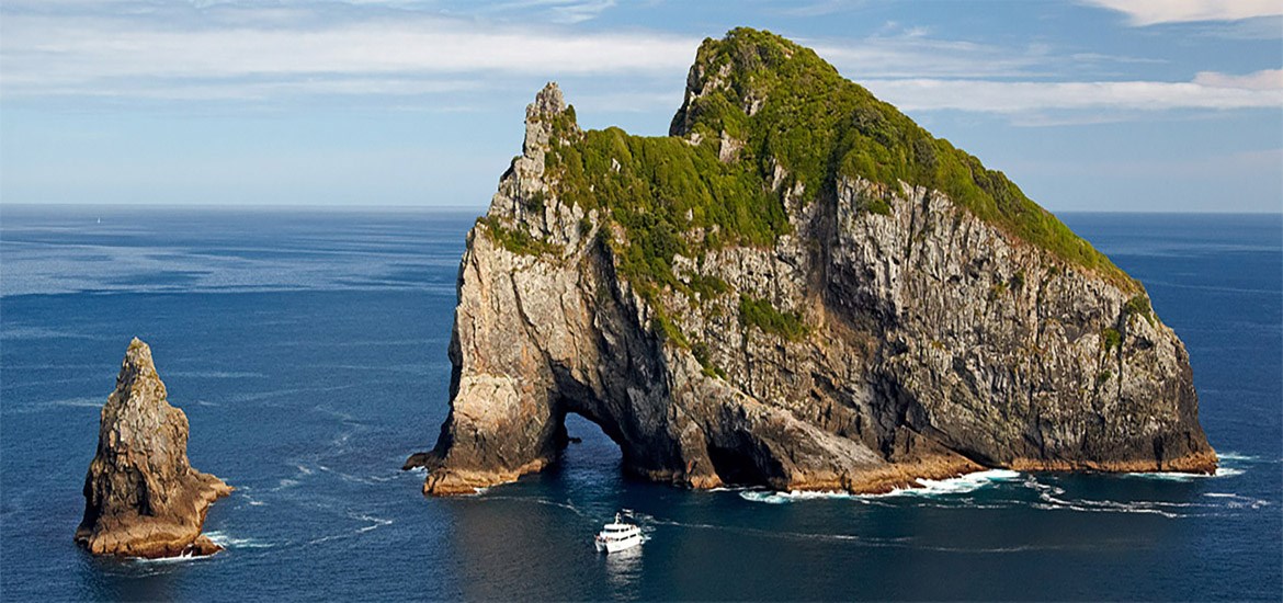 Hole in the Rock Dolphin Cruise ex Paihia