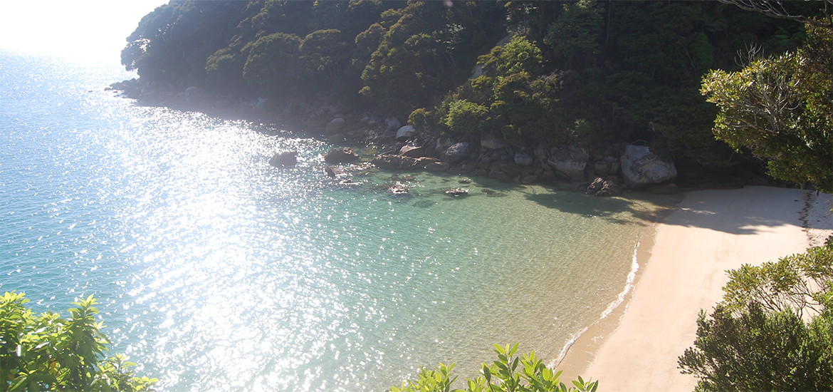 Summer Season Abel Tasman Unguided Trek