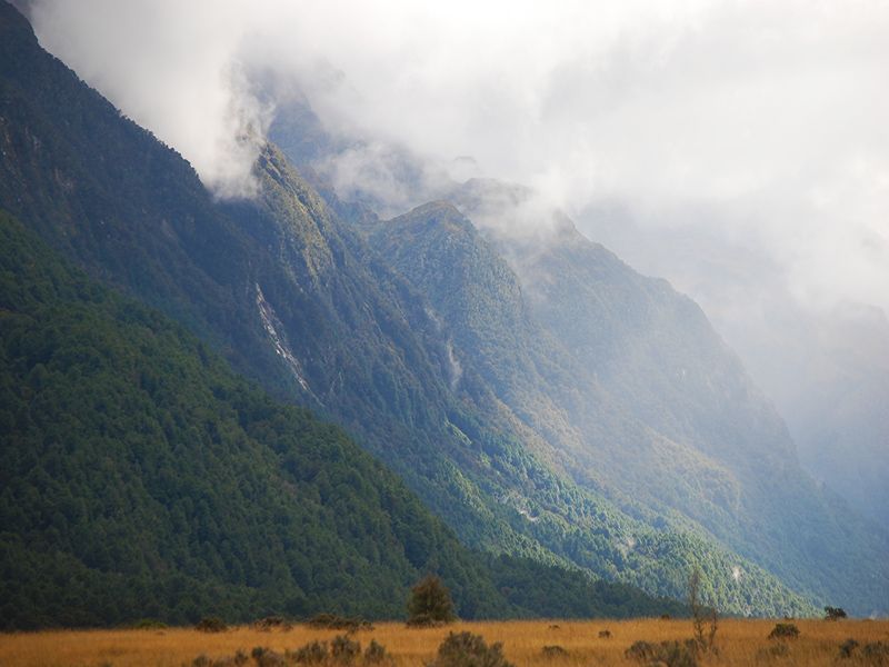 Knobs Flat along the Milford Road