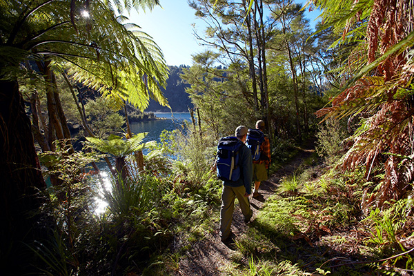 Lake Waikeremoana Track - Urewere Forest Park