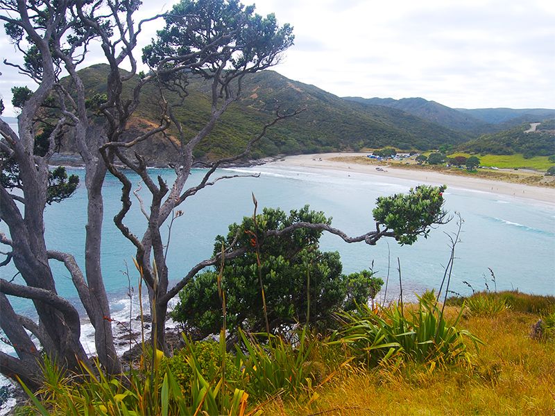 Tapotupotu Bay - DOC campsite