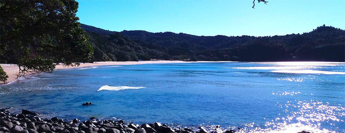 New Chum's Beach - Coromandel