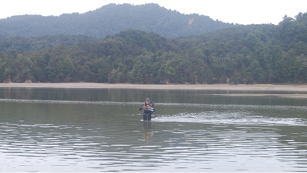 Awaroa Inlet crossing - Abel Tasman Coastal Track