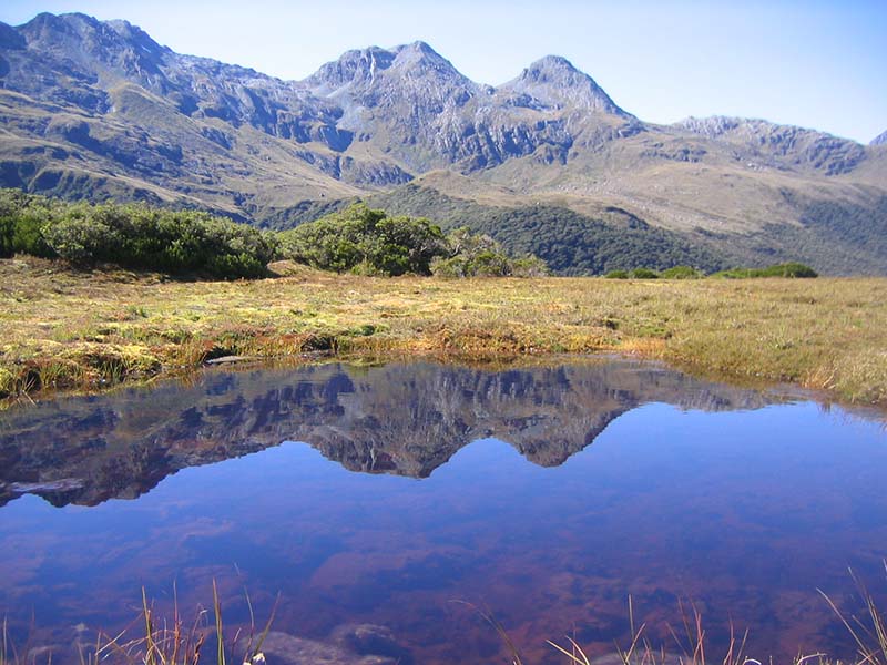 Routeburn Track Great Walk - New Zealand