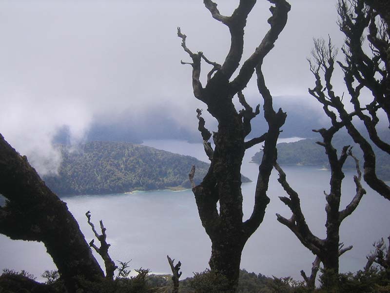 Lake Waikaremoana Great Walk - New Zealand