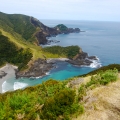 cape reinga3