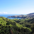 coromandel