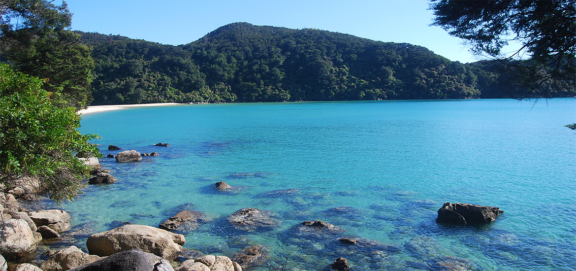 Abel Tasman Coastal Track Freedom trek