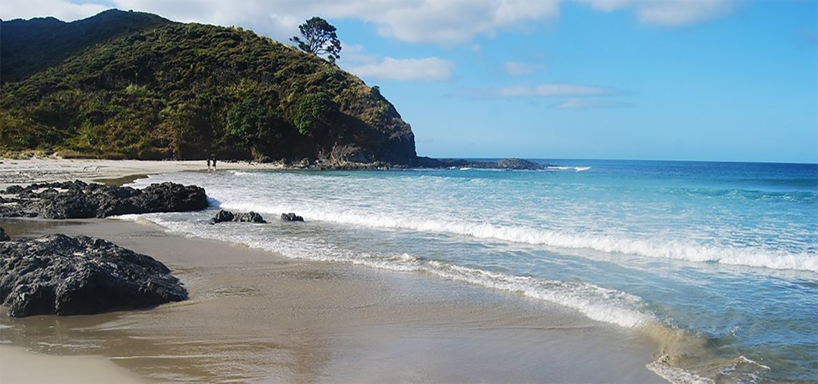 4 Day Northland Beach Bliss