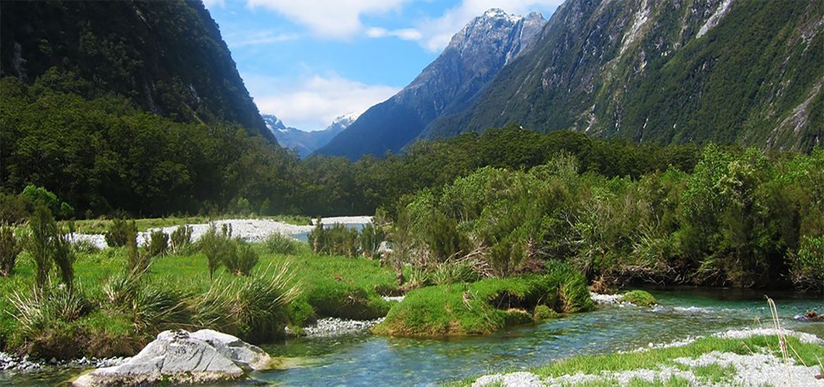 4 Day Fiordland Soul Food