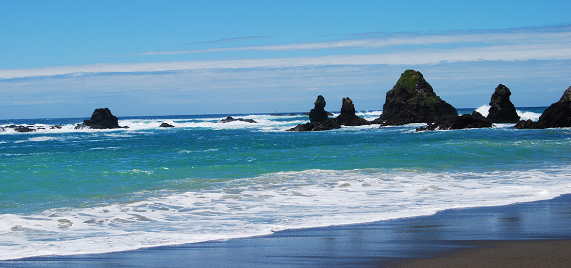 Fly Fishing Tour North Island ( 7 day)