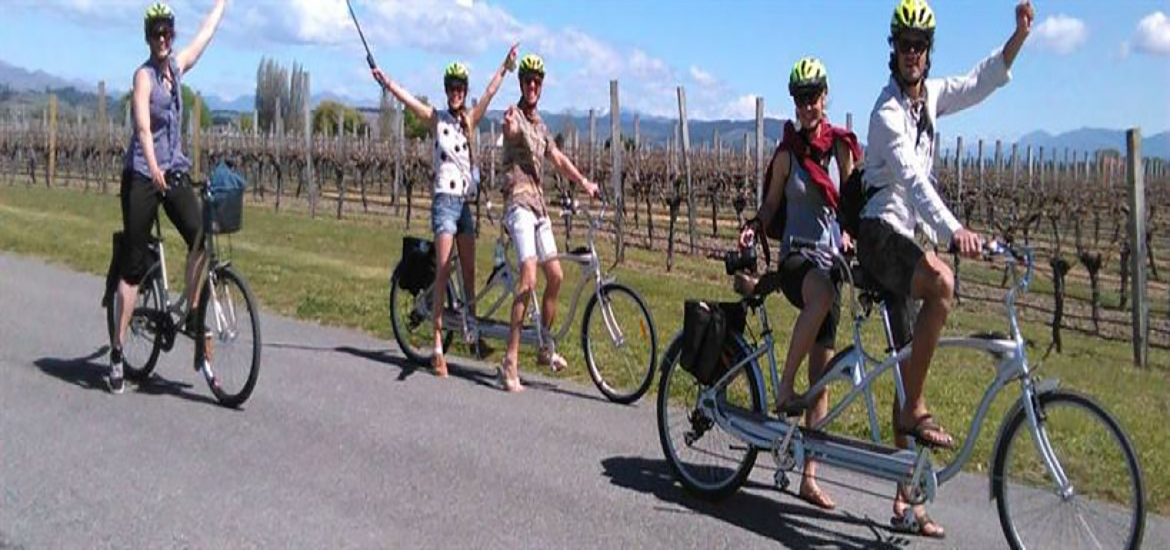 Wine Tour by Bike