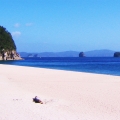 hahei beach