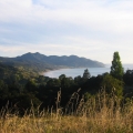 hawkes bay