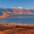 wanaka com